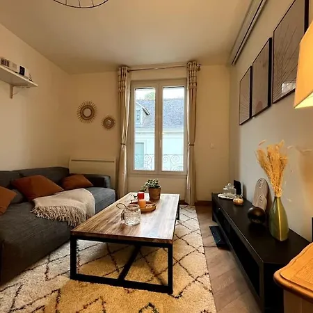 Apartament T3 Cinema - Centre Historique, Bord De Loire *