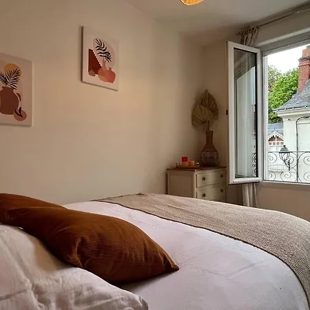 Apartament T3 Cinema - Centre Historique, Bord De Loire Tours