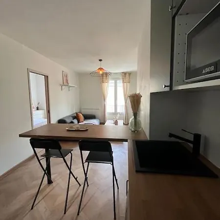 Διαμέρισμα T3 Cinema - Centre Historique, Bord De Loire