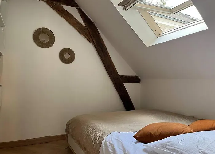 T3 Cinema - Centre Historique, Bord De Loire