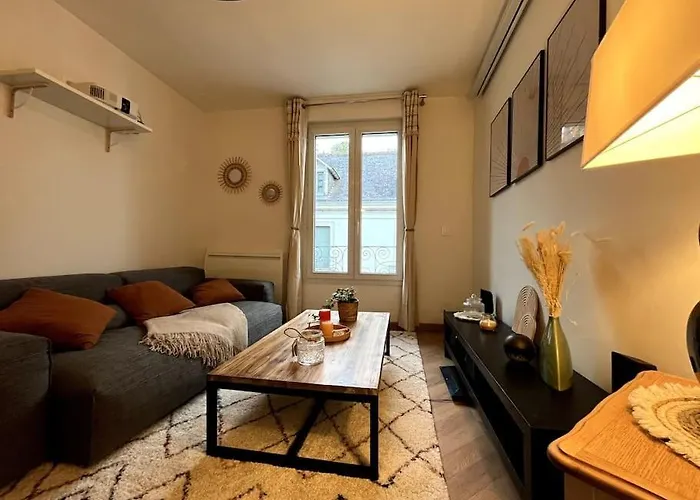 Apartament T3 Cinema - Centre Historique, Bord De Loire *