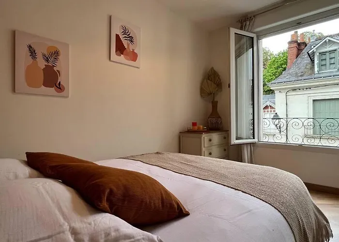 Appartement T3 Cinema - Centre Historique, Bord De Loire Tours