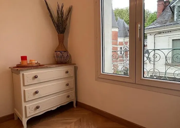 Apartament T3 Cinema - Centre Historique, Bord De Loire *