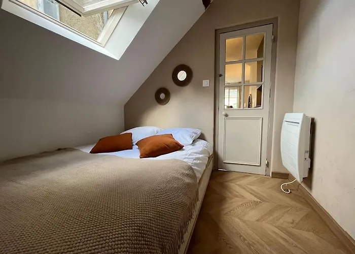 T3 Cinema - Centre Historique, Bord De Loire